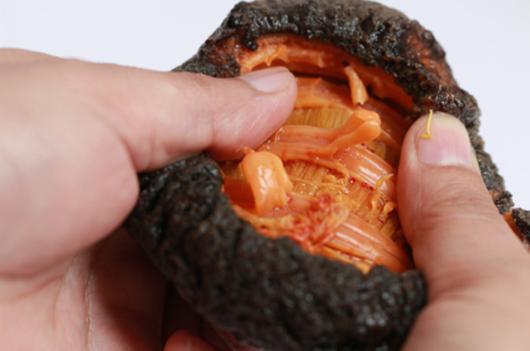 Sea Cucumbers