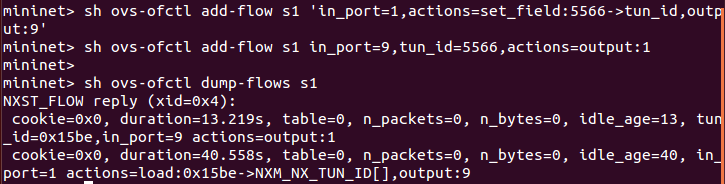 Mininet VxLAN